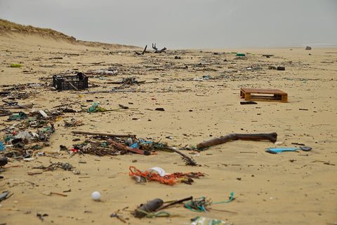view from a beach full of litter