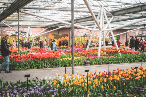 keukenhof indoor pavilion