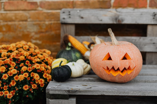 halloween 2020 natural decoration pumpkin