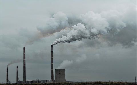 carbon emission from an industry it is possible to calculate its carbon footprint
